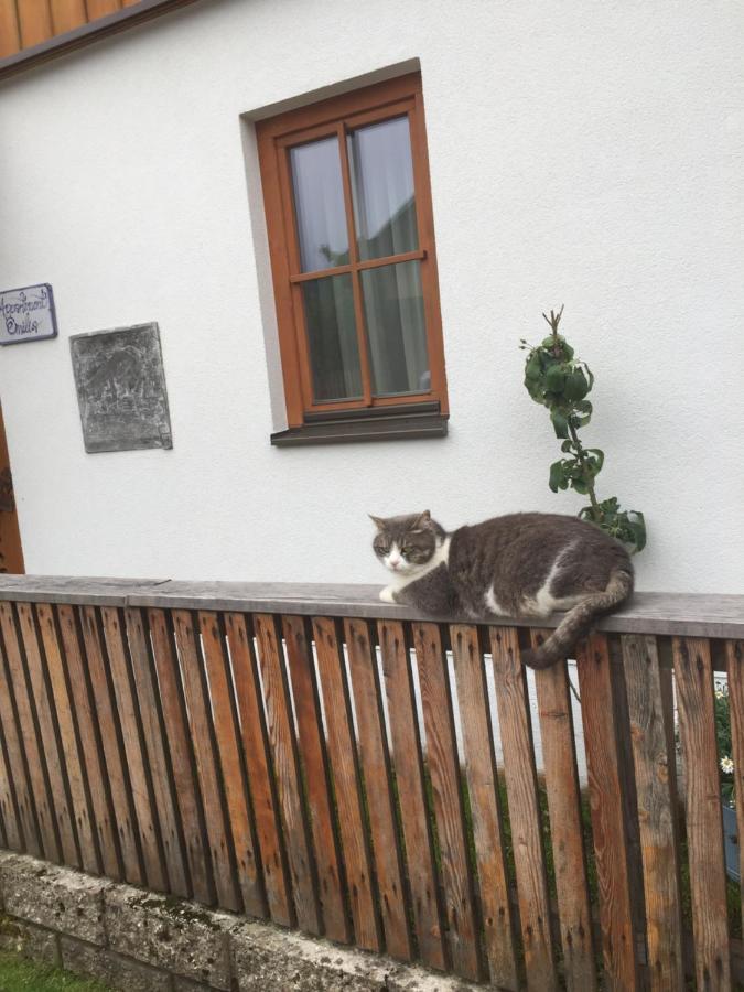 Appartement Emilia Hallstatt Exteriör bild