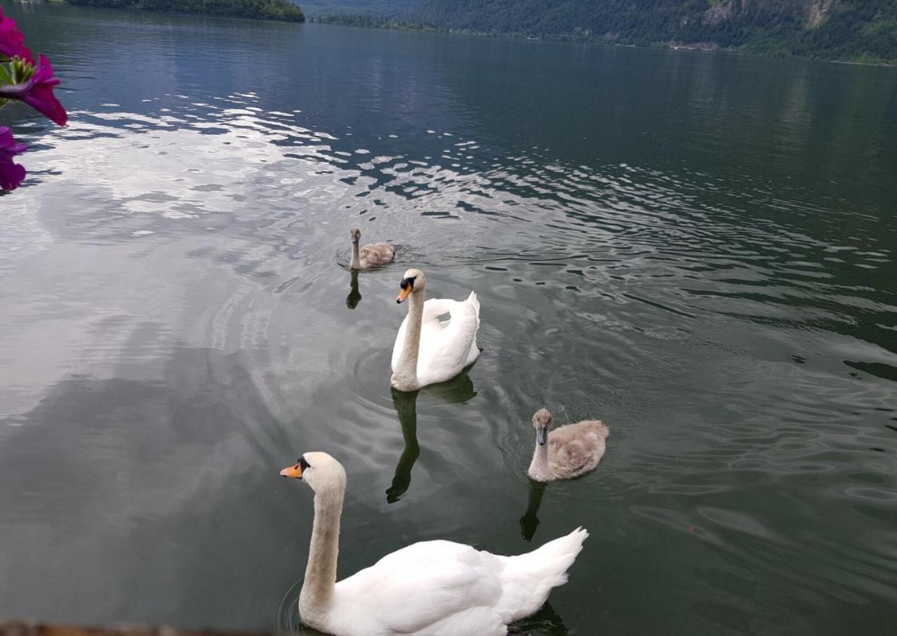 Appartement Emilia Hallstatt Exteriör bild